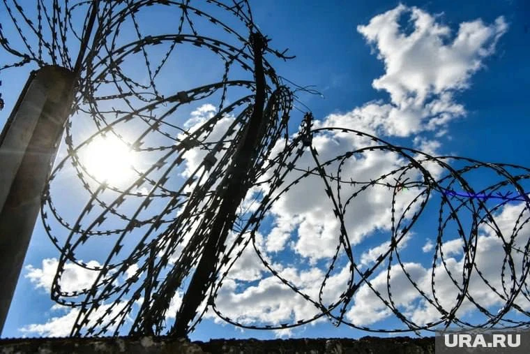 Осужденный в Тавде умудрился напасть на сотрудников колонии за несколько дней до освобо...
