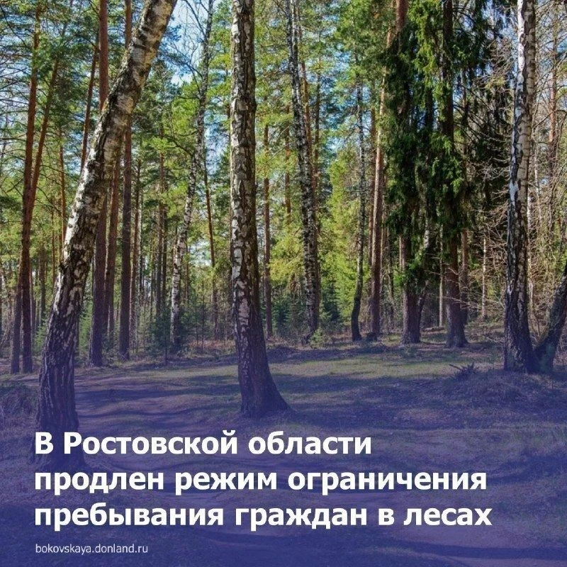 Режим ограничения пребывания граждан и въезда в леса Ростовской области продлен до 24 с...