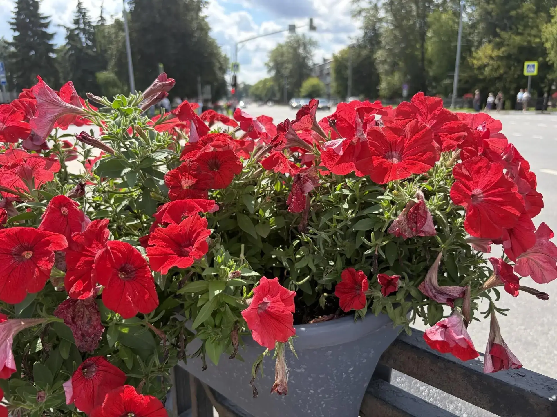 Доброе утро!

Пятница, готовимся к выходным! 👍