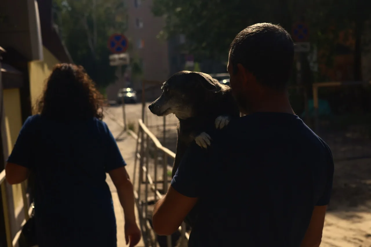 🐶В Госдуме предложили сделать налоговый вычет на ветеринара

Содержать домашних животных дорого, из