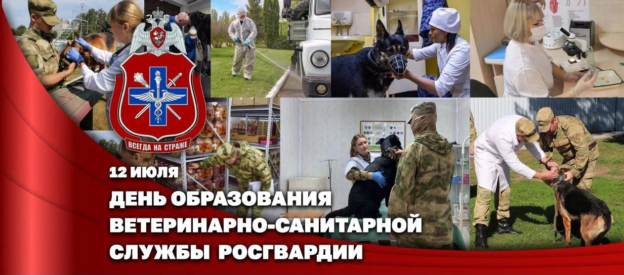 Заместитель директора Росгвардии Герой России генерал-полковник Алексей Кузьменков позд...