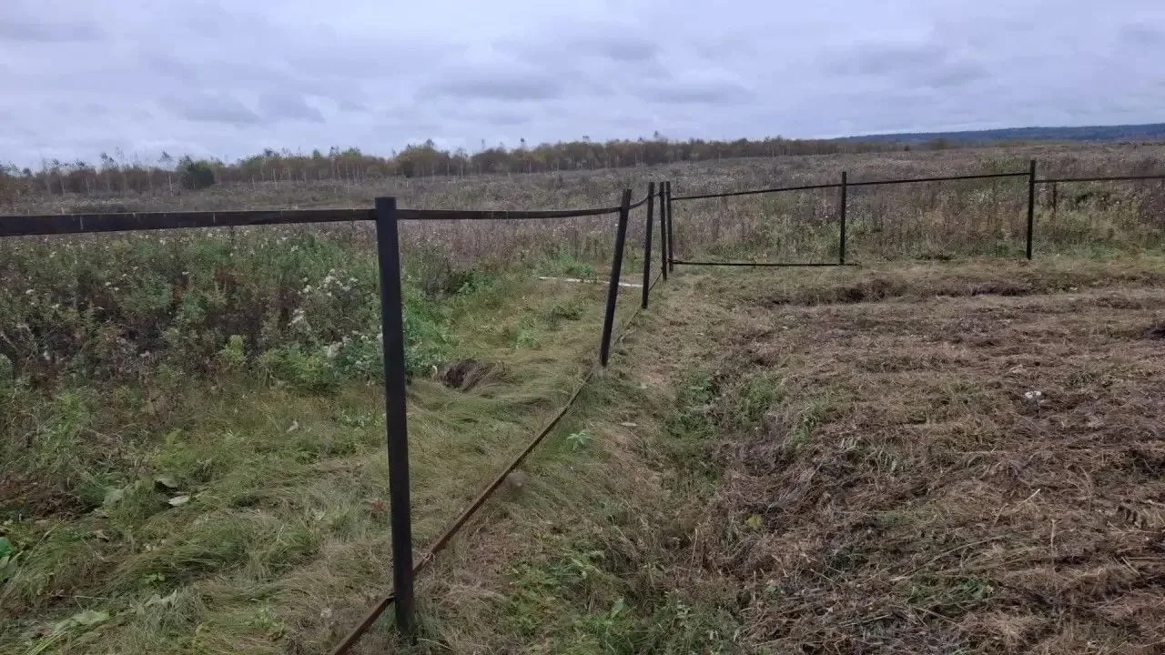Уже и до скотомогильников добрались...
