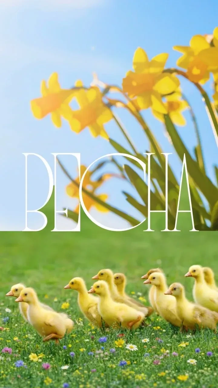 Фото
