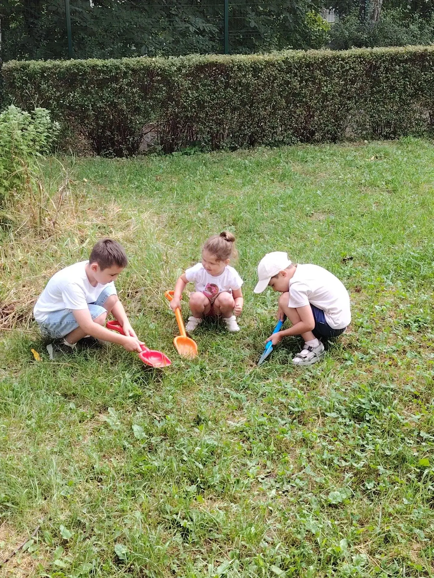 🌿Летний клуб любознательных "Следопыты на участке"🌿