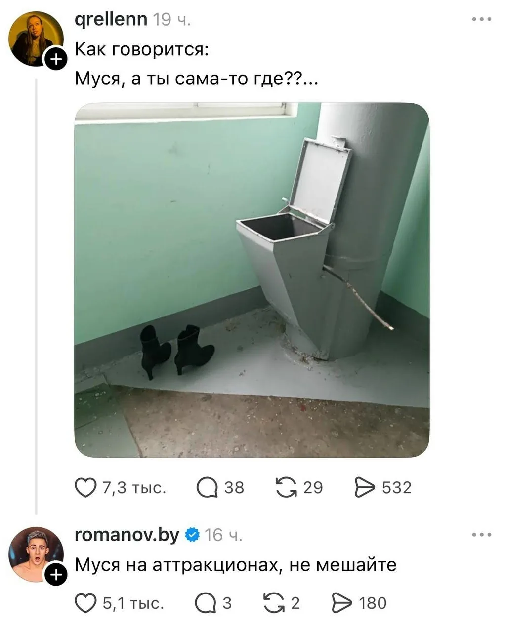 Муся Шрёдингера