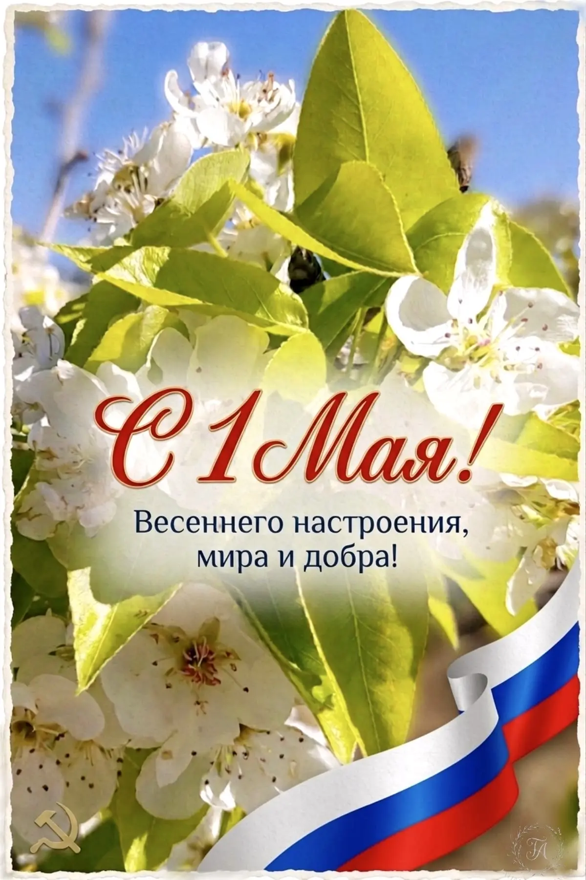 Уважаемые коллеги, дорогие друзья!