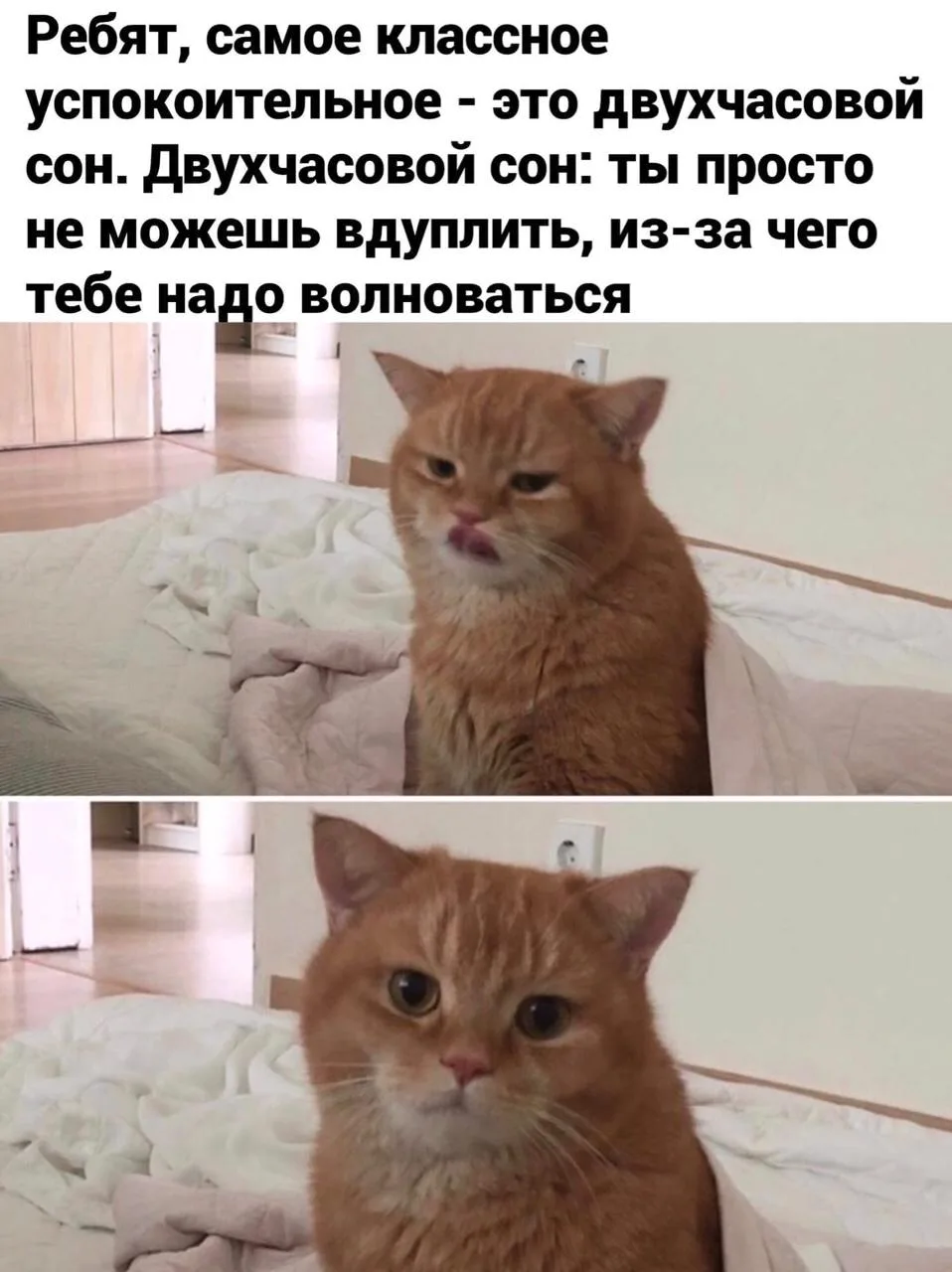 Мемы каждый день • Подписаться
