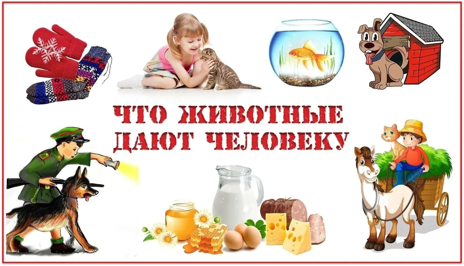 Домашние животные и птицы — наши помощники.