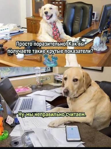 Самая тупая статистика ever:
