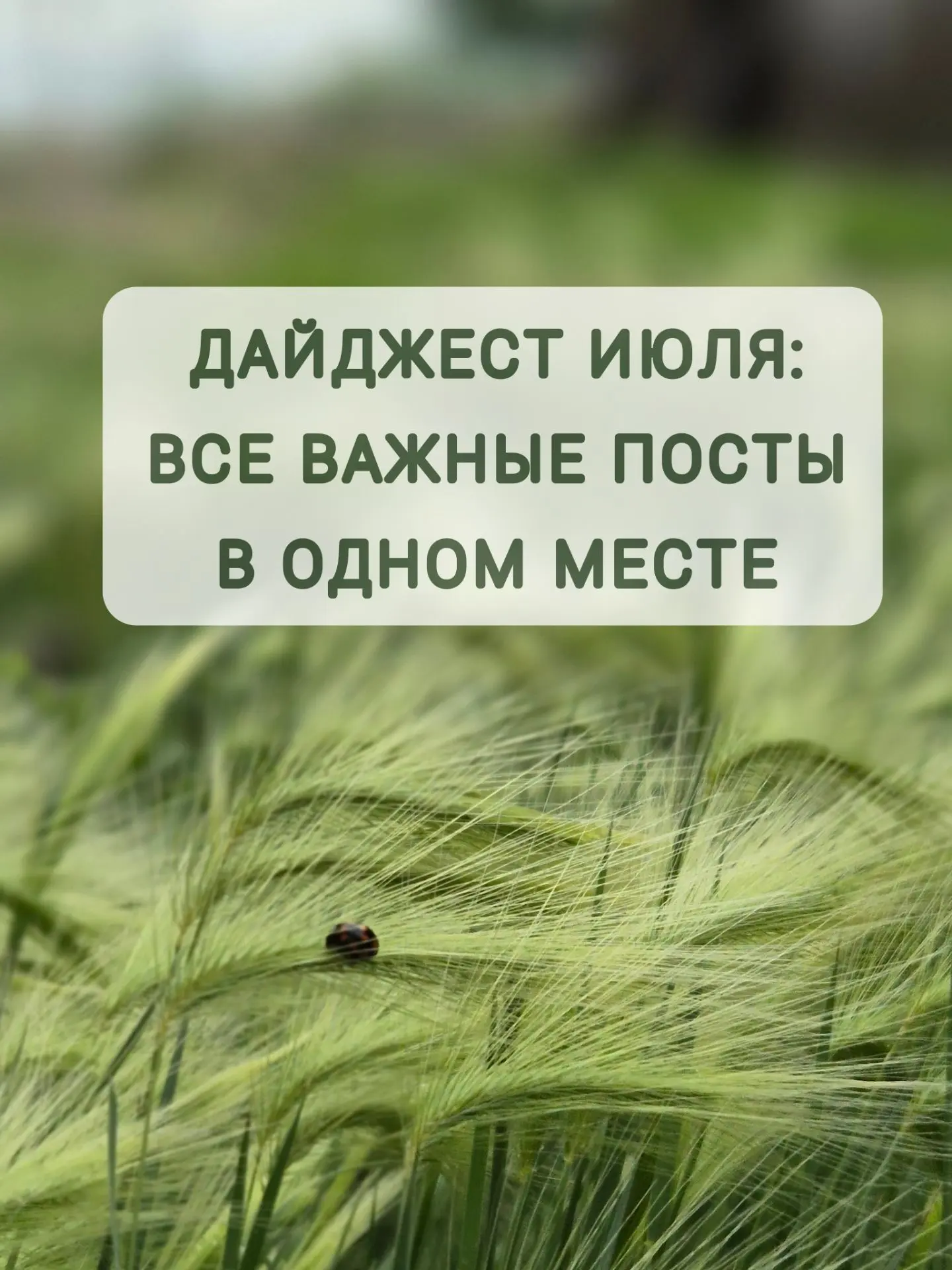🌞 ИЮЛЬСКИЙ ДАЙДЖЕСТ: ВСЕ ГЛАВНЫЕ ПОСТЫ В ОДНОМ МЕСТЕ