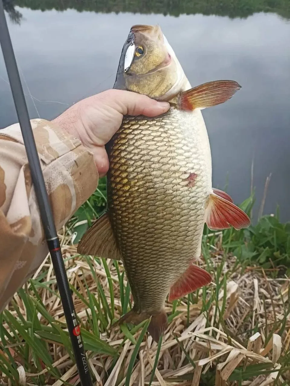 Снятие стресса на Волге - лучшее лекарство 🎣