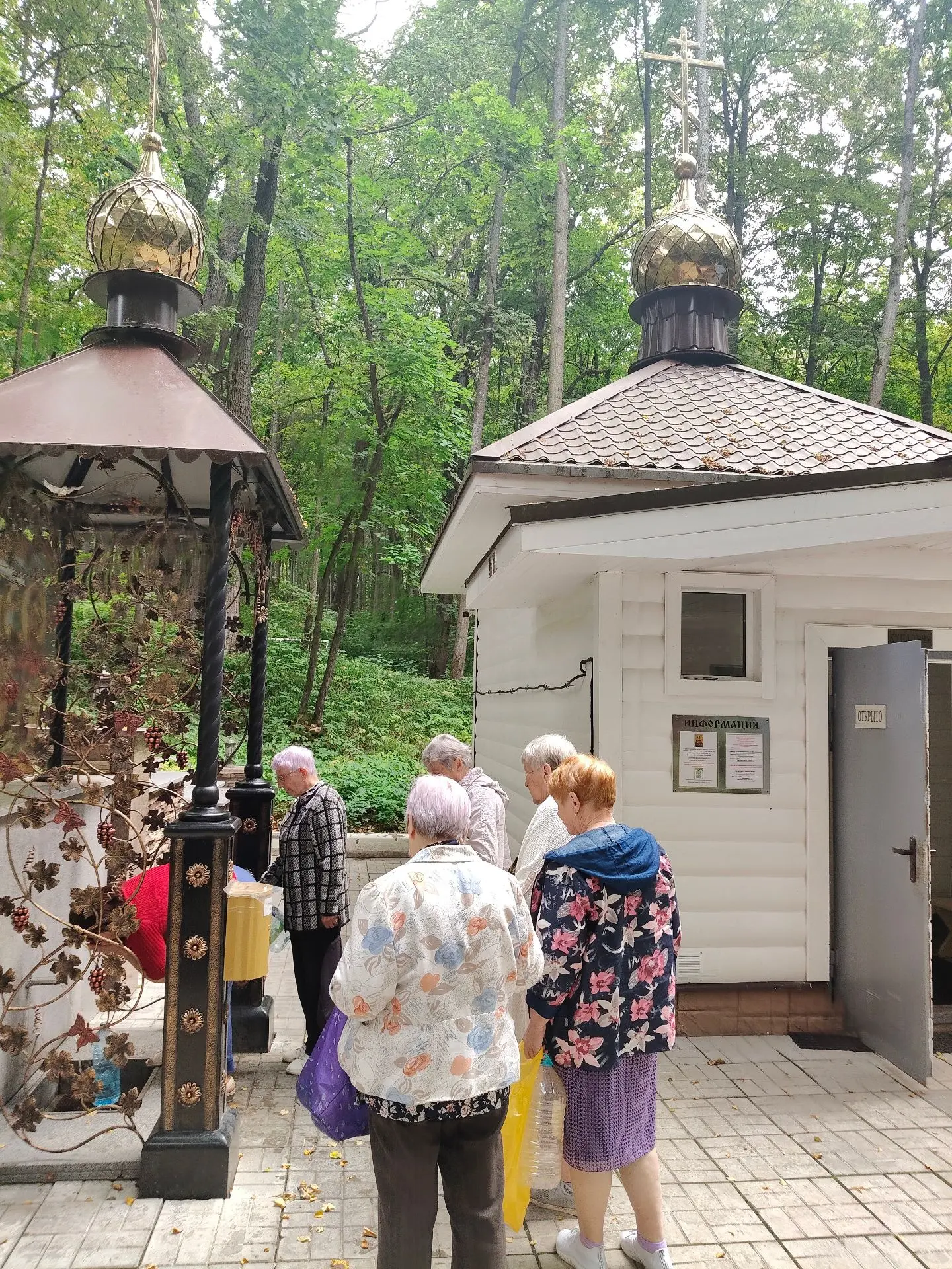 Светлый день и чистый воздух! ✨