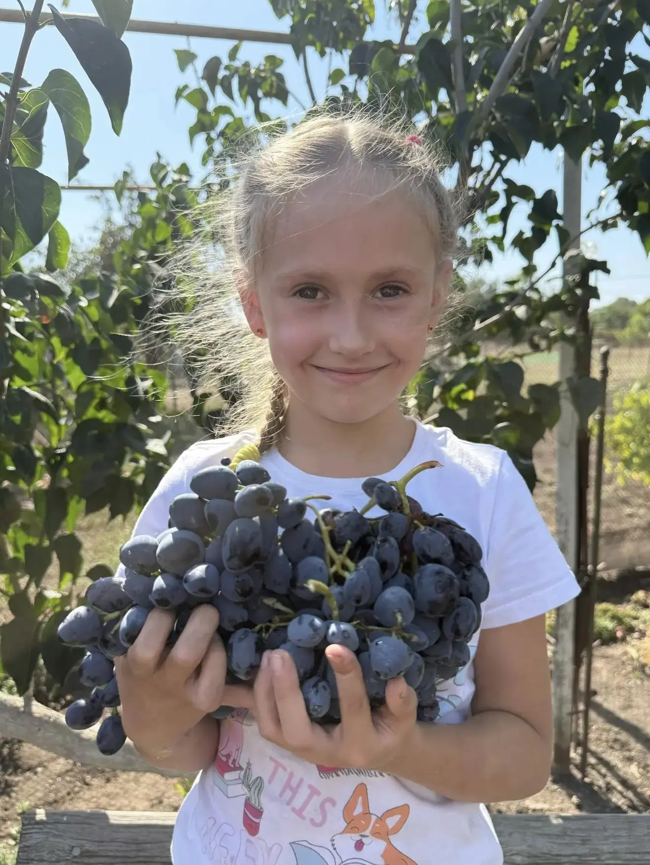 🏆 Комракова Арина, 1 «Б» класс — участница фотоконкурса «Мой гигантский урожай»! 🍅📸
