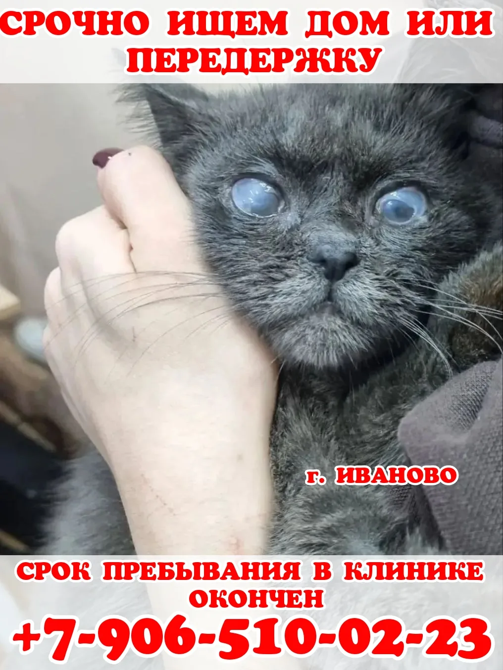 ‼️СРОЧНО ИЩЕМ ДОМ ИЛИ ПЕРЕДЕРЖКУ‼️