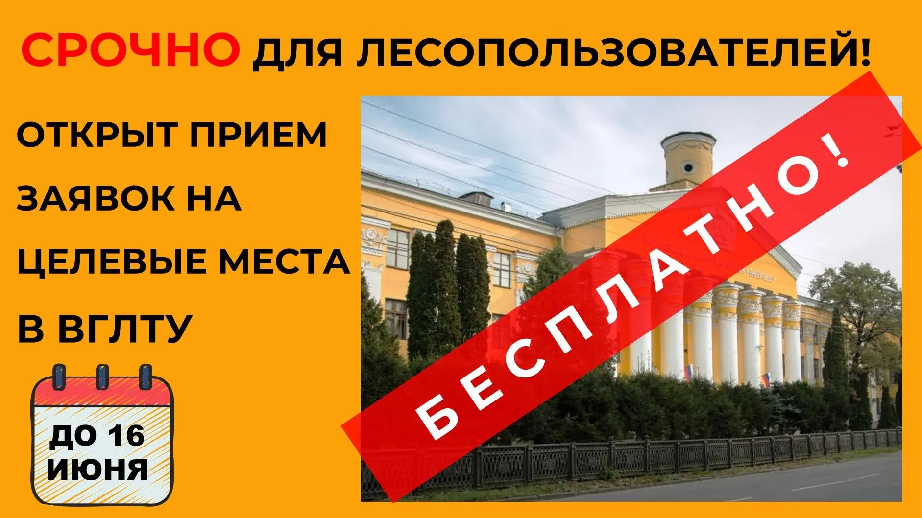 Министерство лесного хозяйства Воронежской области напоминает предприятиям лесной отрас...