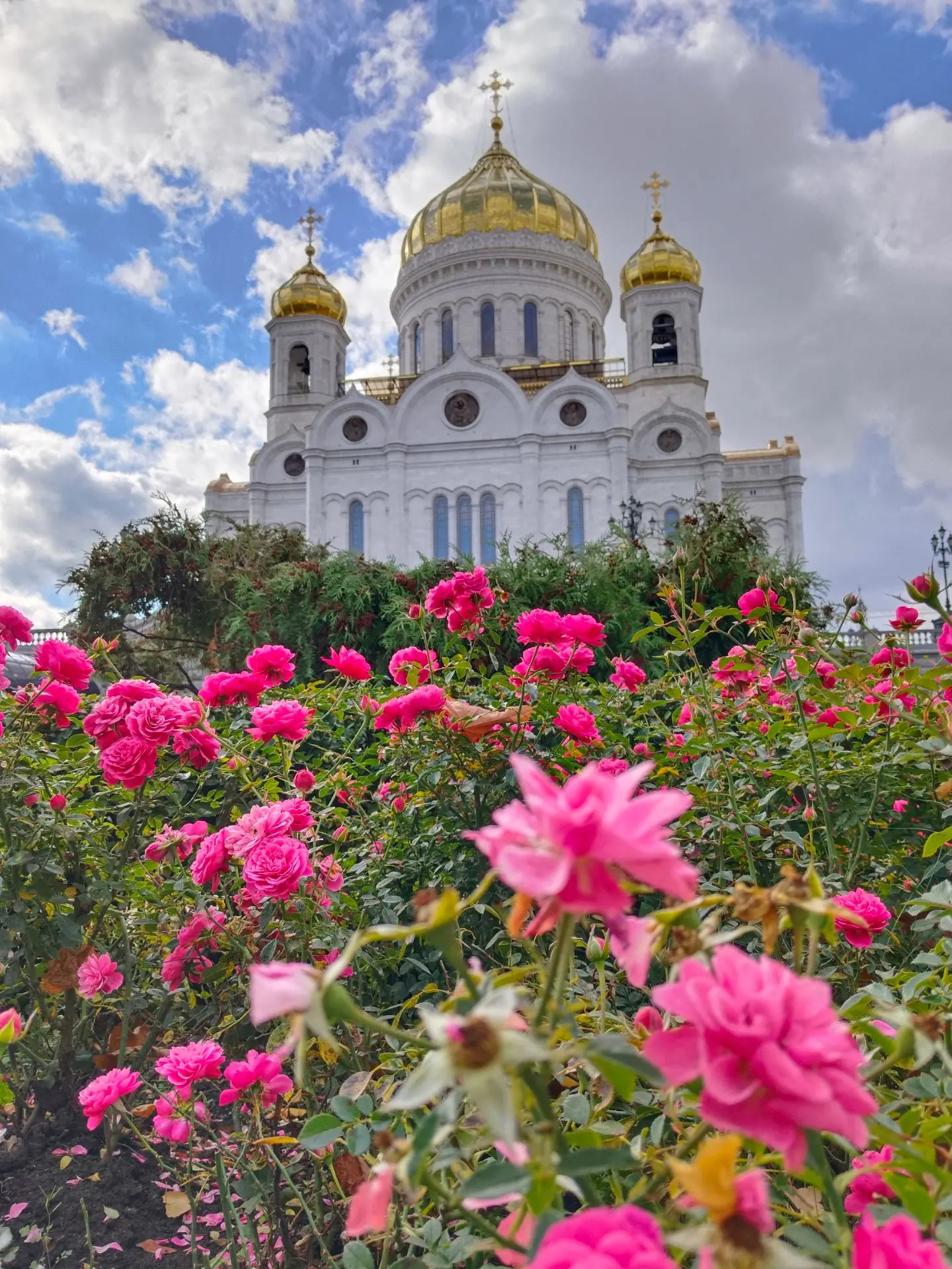 🌳Прогулка в сквере у Храма Христа Спасителя