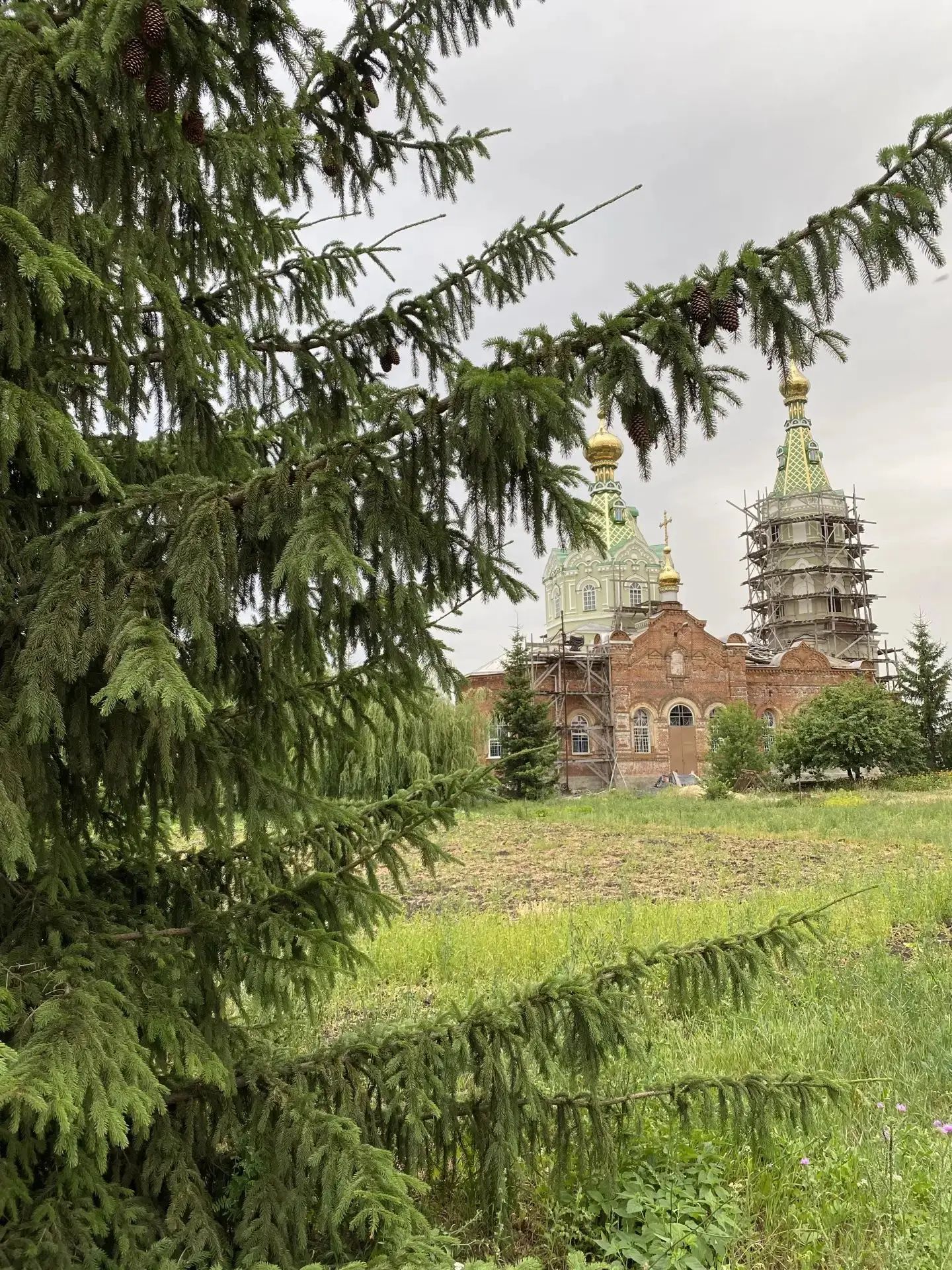 Доброе утро, Тамбов! ☀️