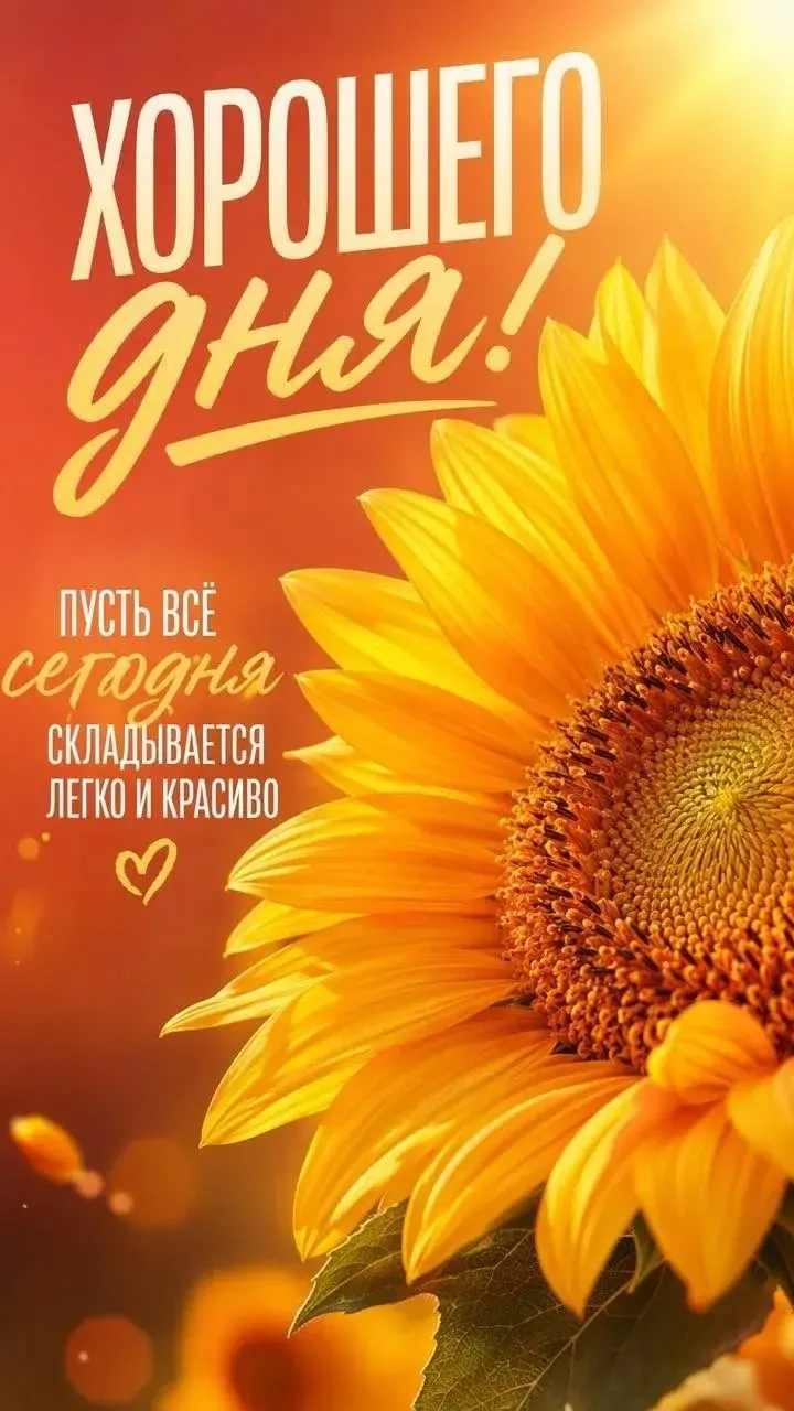 🥰 Оставляйте реакции, если понравилась открытка и делитесь с близкими ❤️