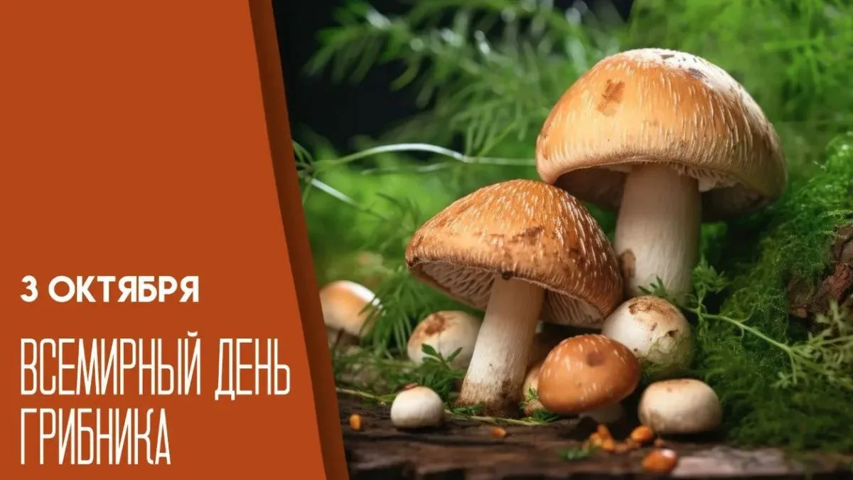 3 октября, суббота