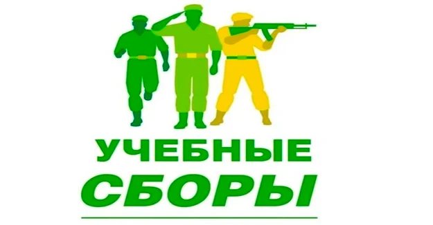 📌 Учебные сборы для восьмиклассников: что нужно знать школам