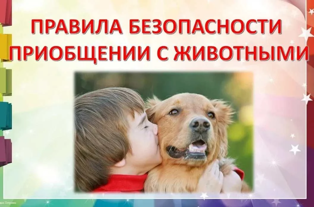 🐾 Дружим с животными безопасно