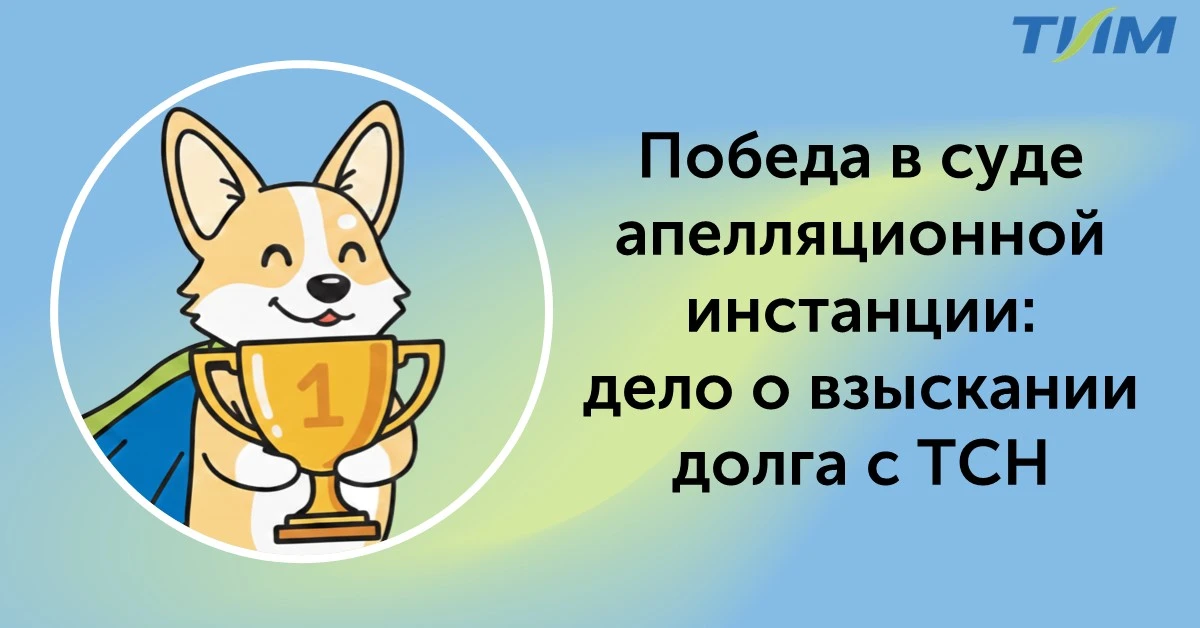 🏆 Юристы ТИМ защитили интересы ТСН по иску о взыскании задолженности