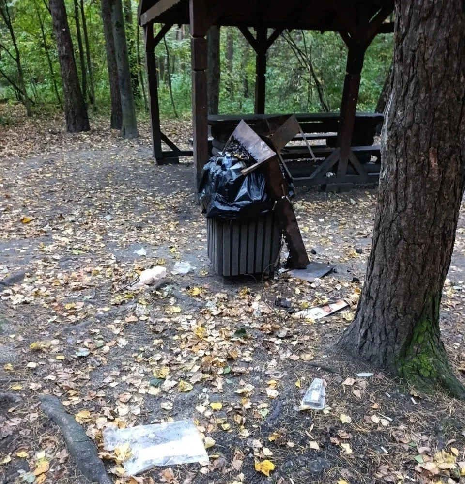 🔥 В Ново-Переделкино жители жалуются на беседки у детской площадки
