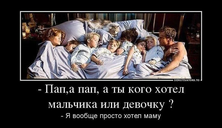 💃 Правительство внесло в Госдуму законопроект о трансляции образа многодетной семьи в ...