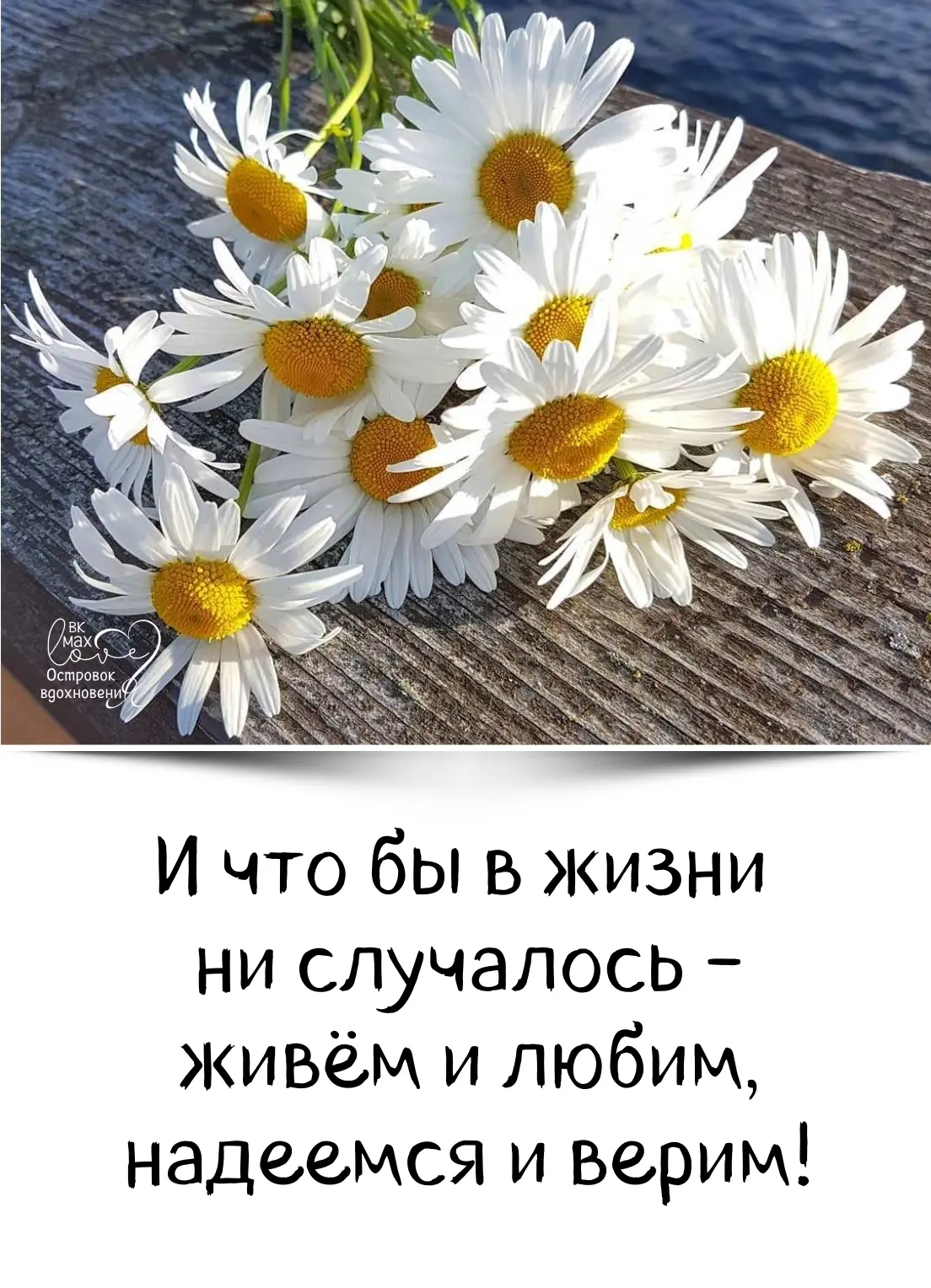 ───⋅୭⋅───