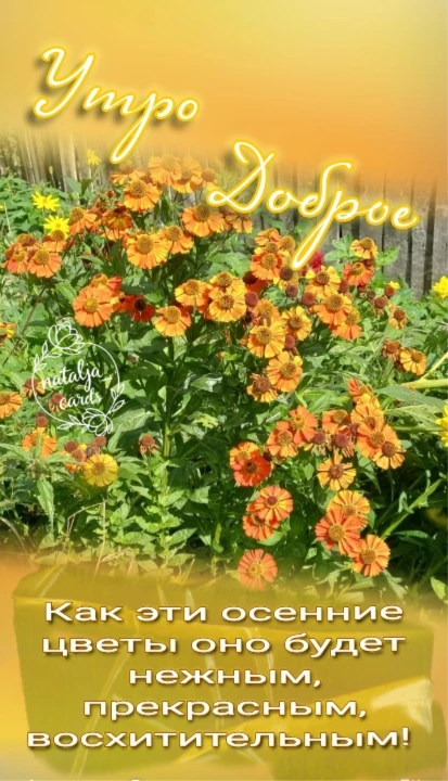 🏵️ Доброе утро! ☀️