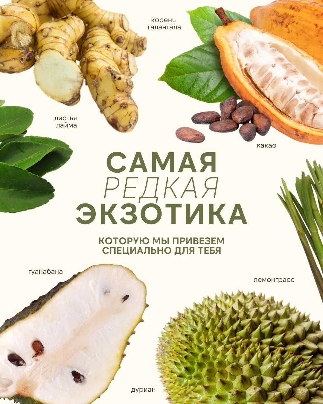Чемпе, что? Чемпедак! 👀