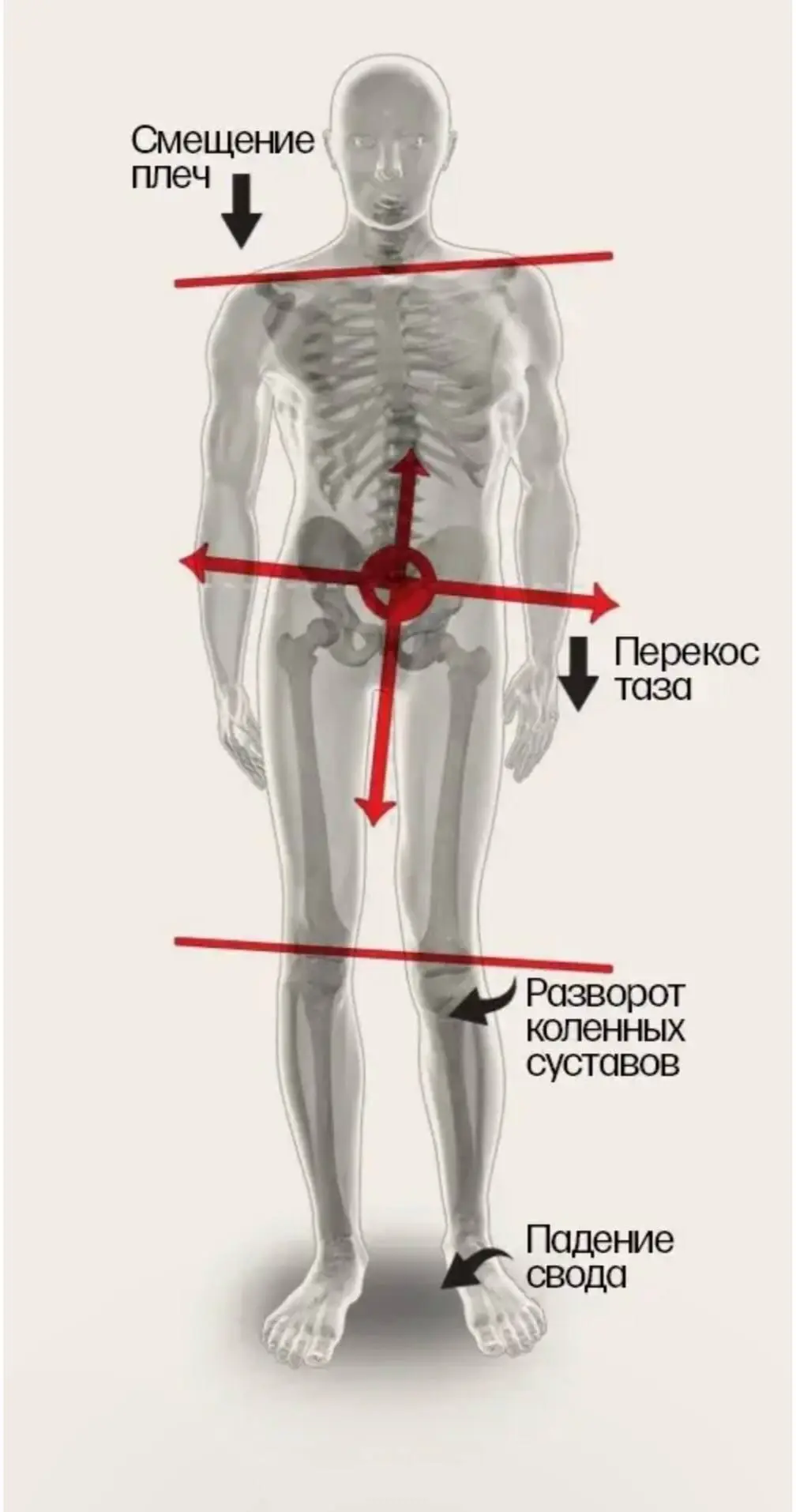 ЗДРАВСТВУЙТЕ ДРУЗЬЯ.
