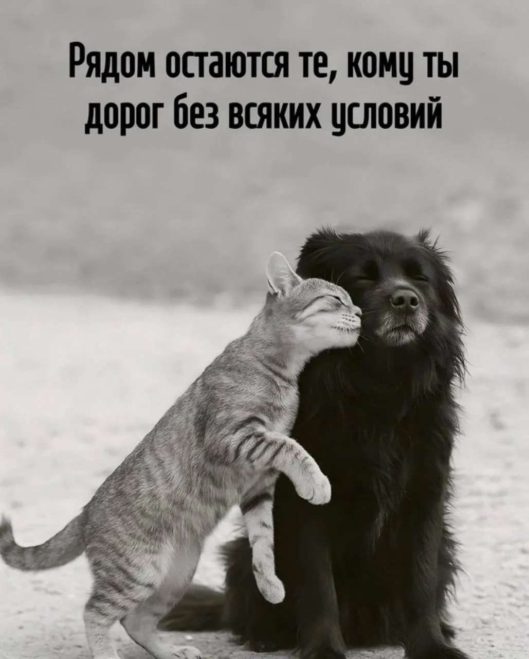 Цитаты в MAX 👉 Подписывайтесь
