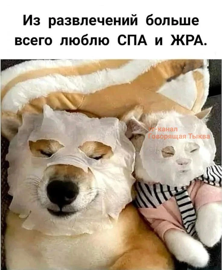 Планы до понедельника только такие #мемнаночь

Подписывайтесь – «Говорящая Тыква»