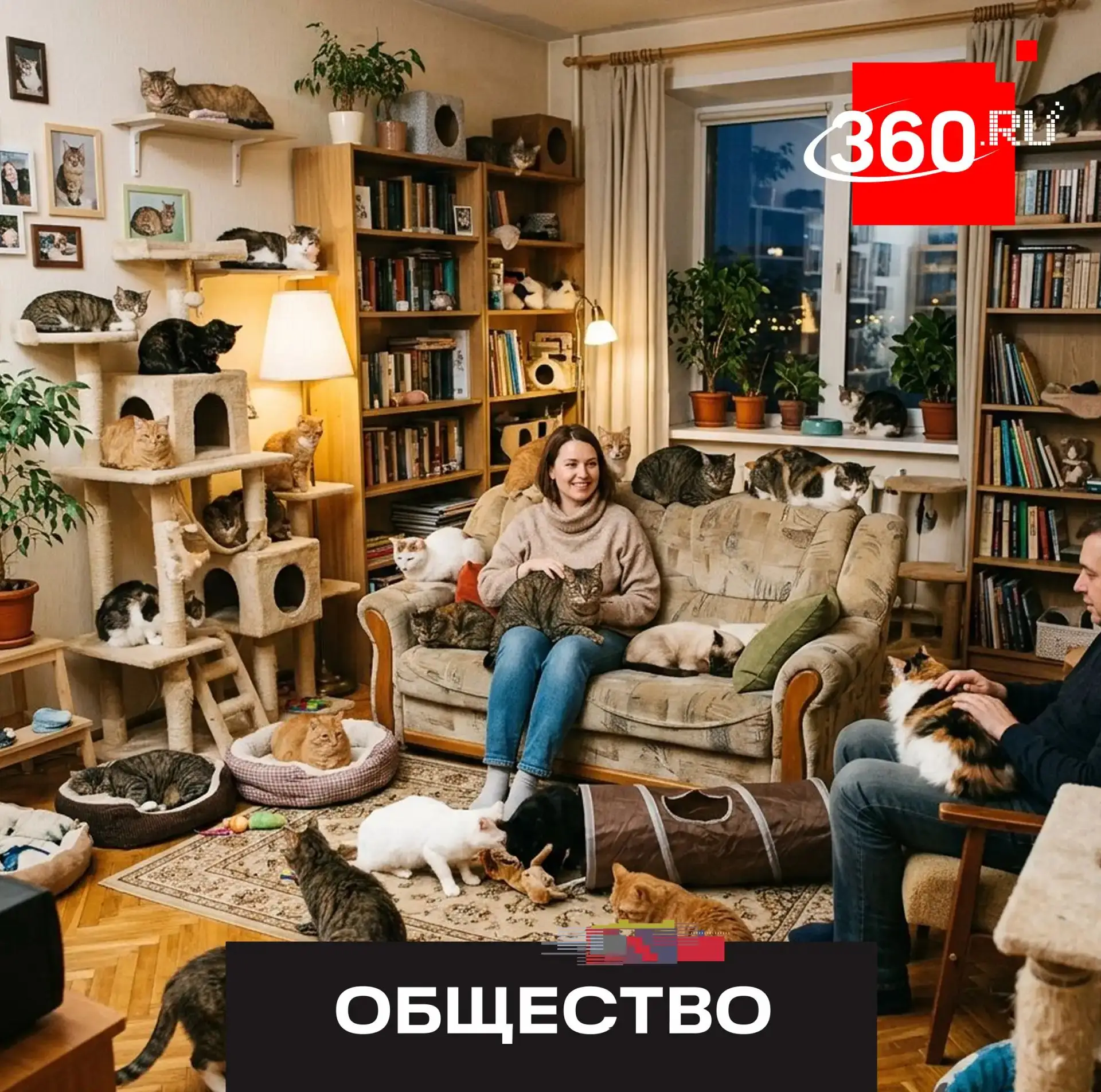 Россия официально стала самой «кошачьей» страной мира: примерно в 59% российских домохо...