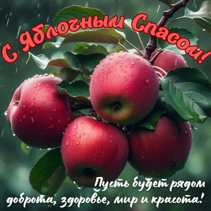 🍎✨ 19 августа — Яблочный Спас