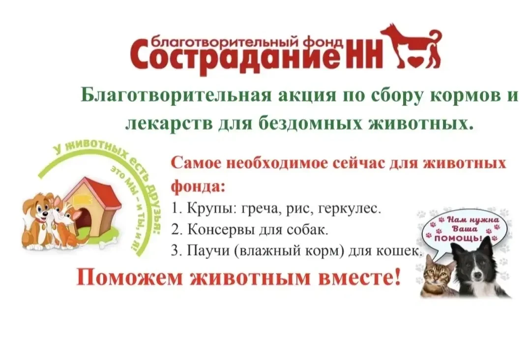 🐶🐾 В преддверии Дня защиты бездомных животных — снова делаем доброе дело! 🐾🐶