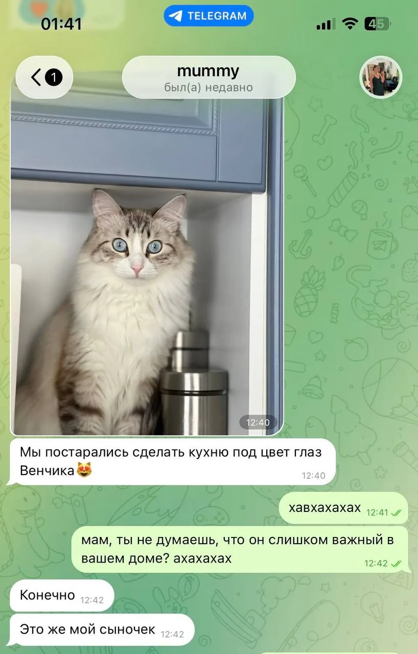 Женщина перекрасила кухню под цвет глаз кота  Девушка рассказала, что её мама сделала ремонт, которы