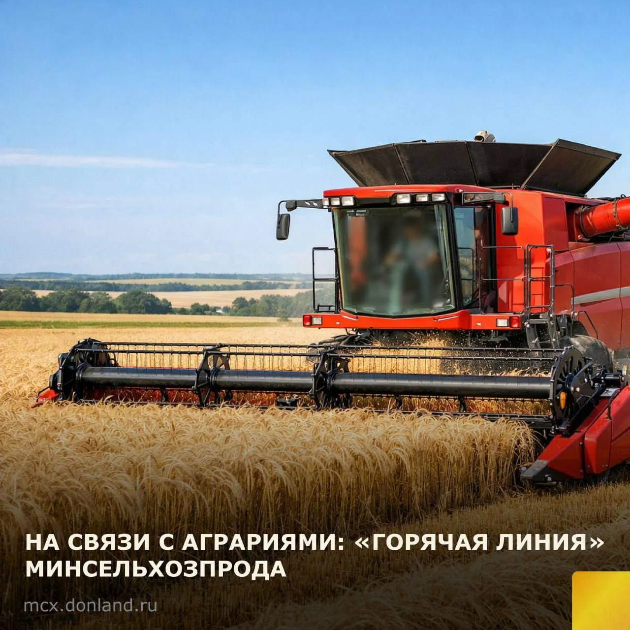 В Ростовской области начала работу постоянная «горячая линия» для сельхозтоваропроизвод...