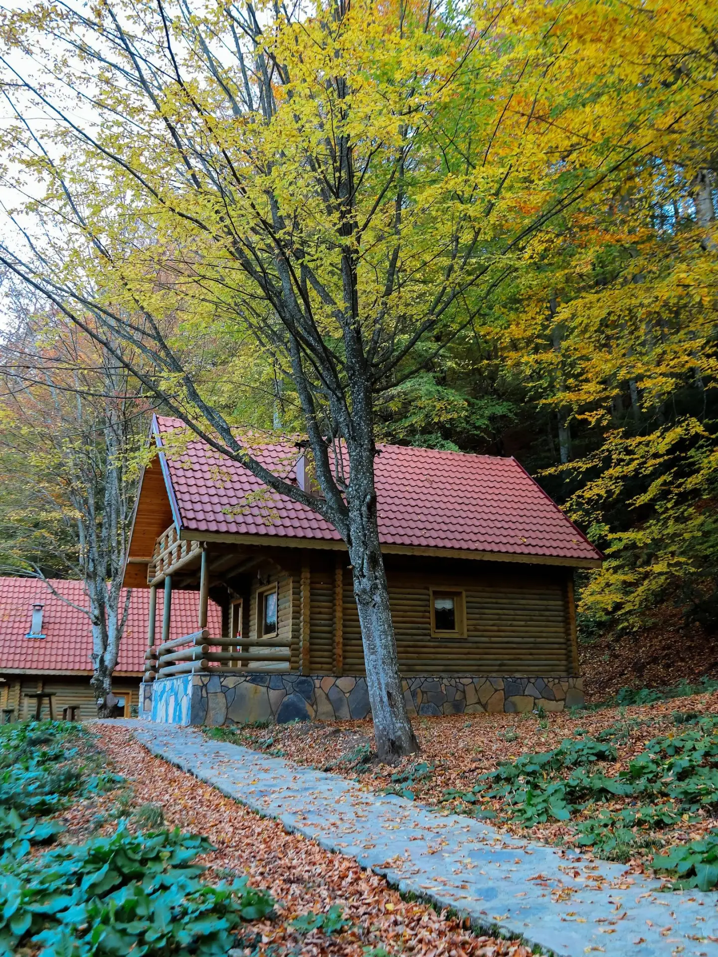 Скоро наступит самая красивая пора 🍂