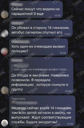 Медведя заметили на правобережье Красноярска