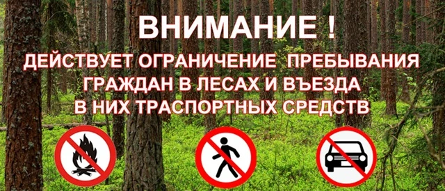 ‼️ В целях обеспечения пожарной безопасности в лесах на территории Нижнеудинского район...