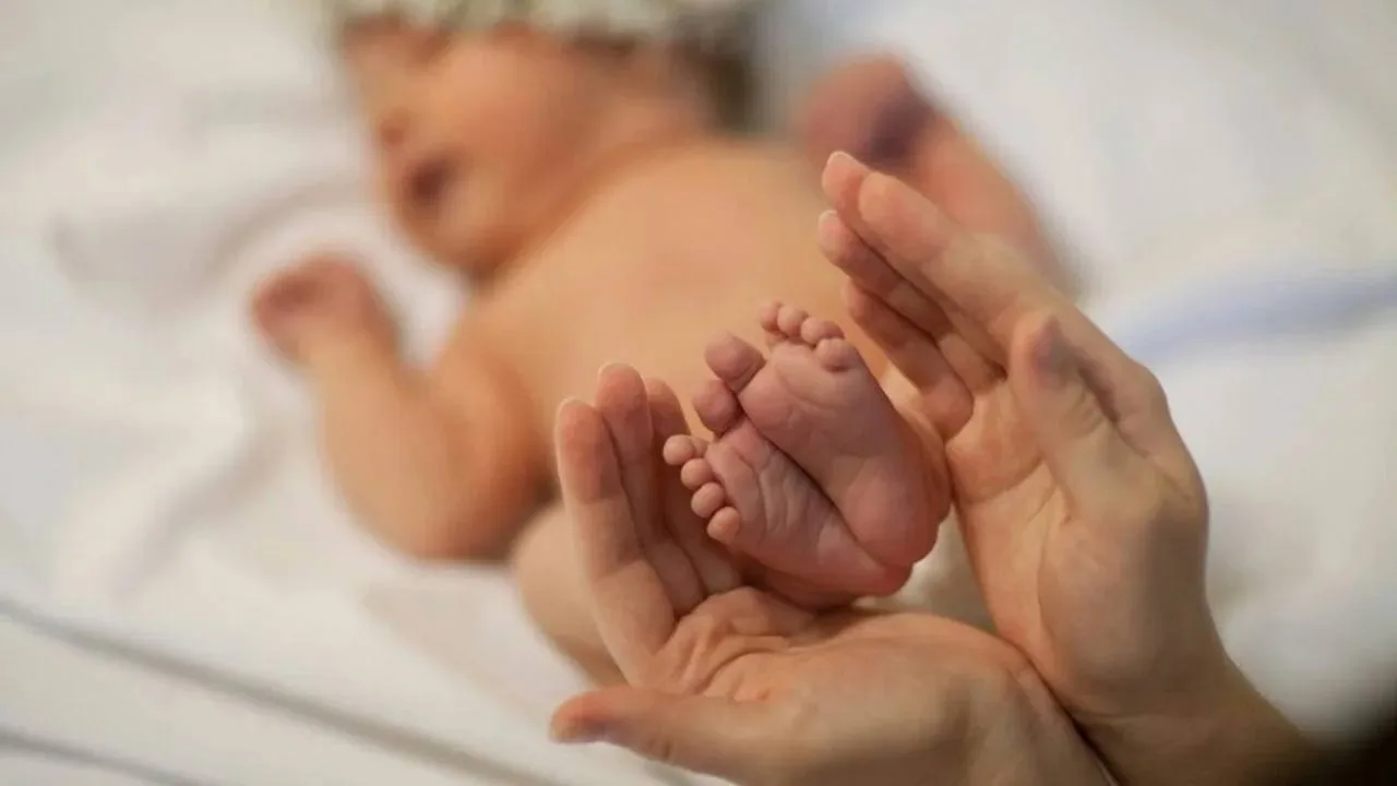 👶🏻 Рождаемость первенцев выросла в Кировской области