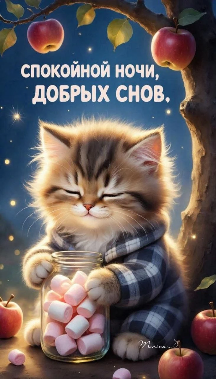 Доброй ночи! Чудесных сновидений! До завтра! ✨🌙
