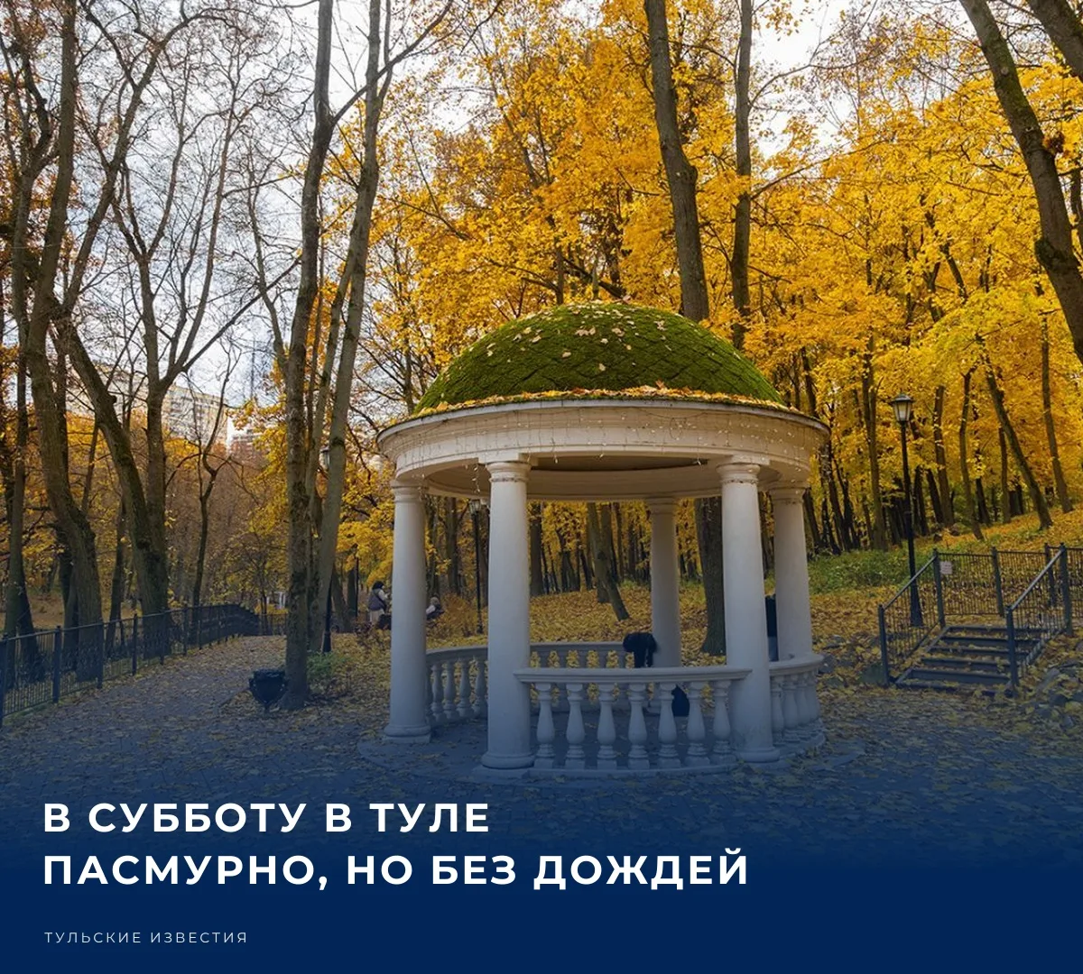 ☁️ 3 октября в Туле ожидается преимущественно пасмурная погода.​