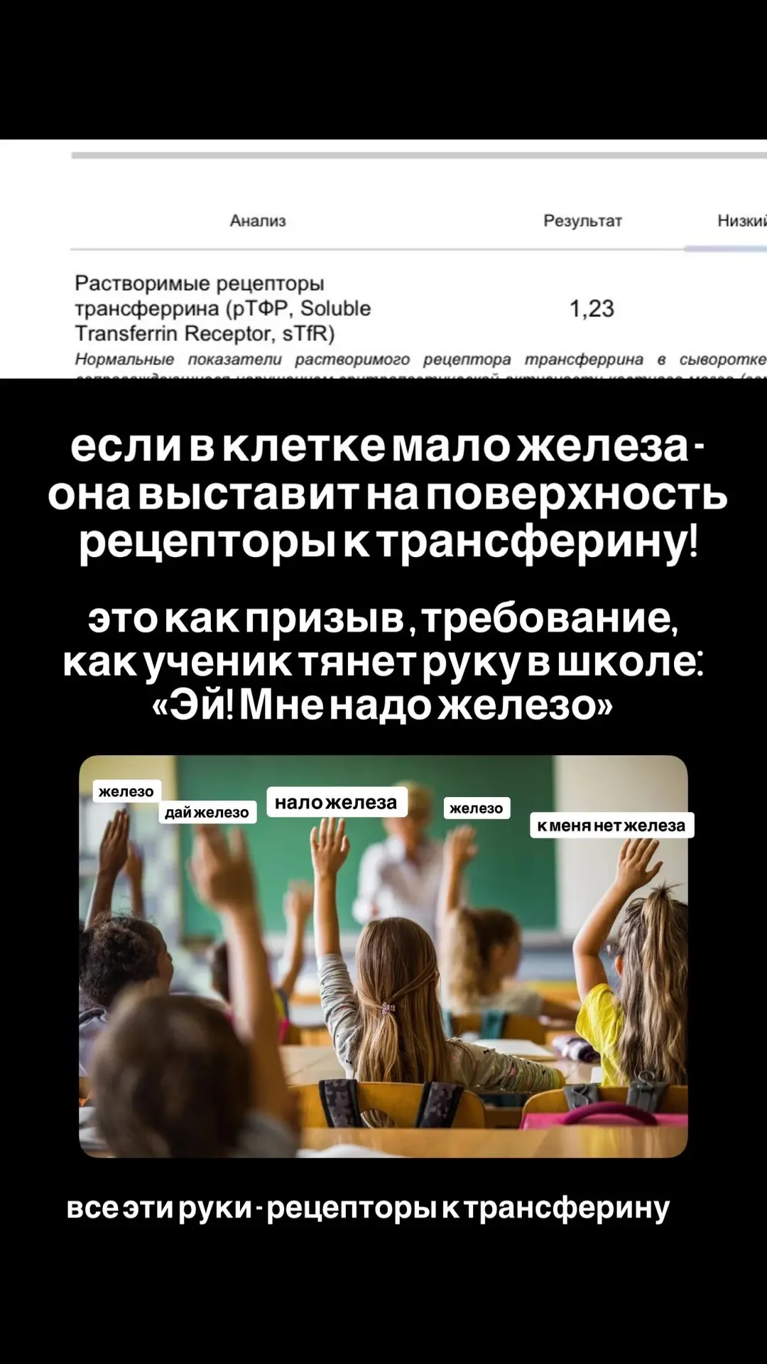 #Ферритин - не анемия