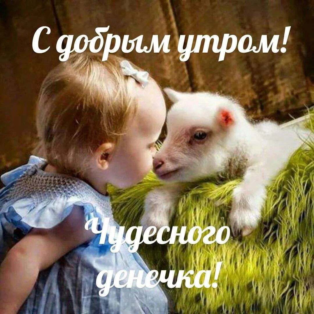 Доброе утро!

❤️Взрослые девочки в Макс / чат в Макс
🍃Взрослые девочки в ТГ /чат в ТГ