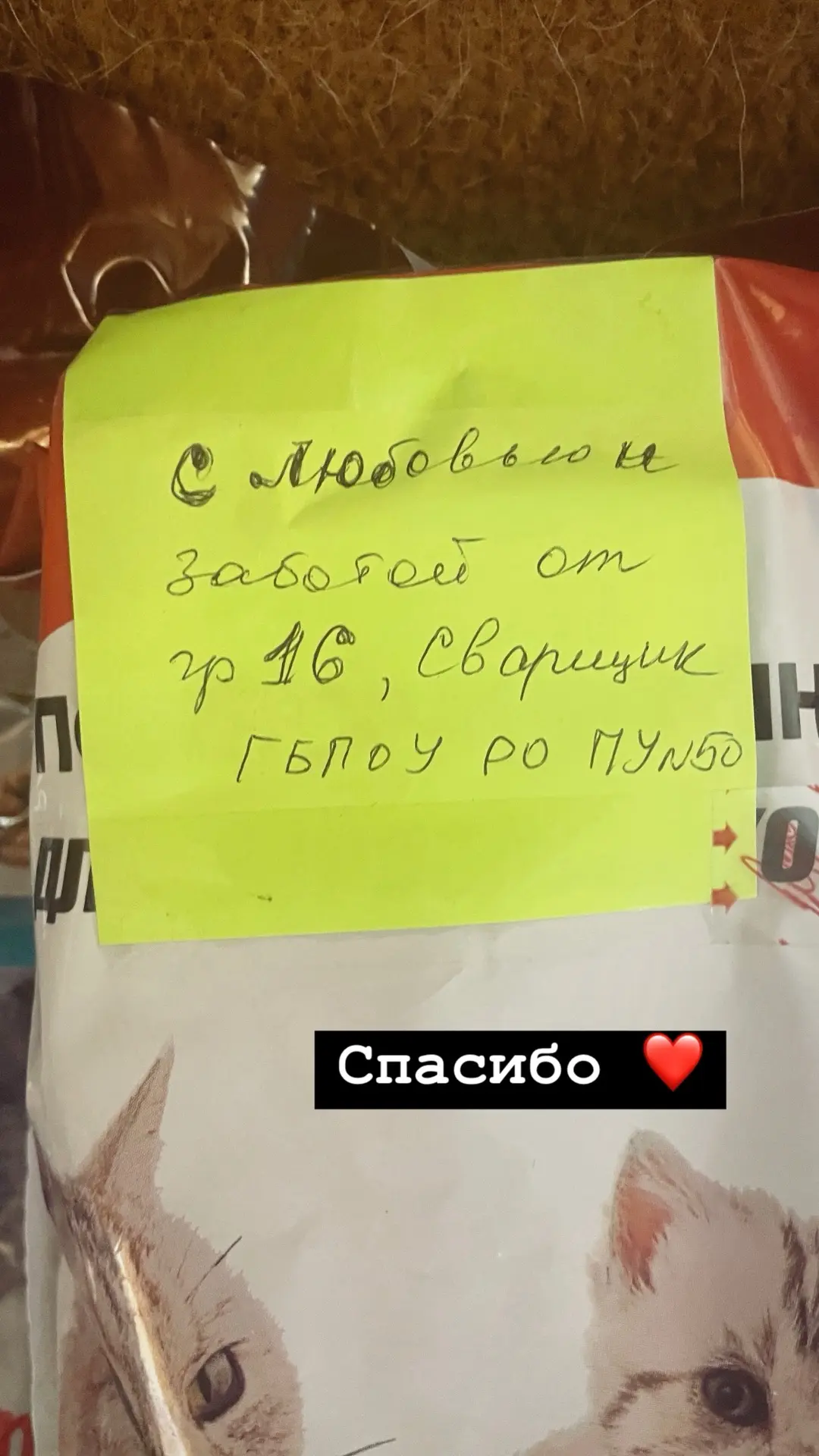 В субботу ребята из ГБПОУ РО ПУ 50 передали нашим хвостатым гостинцы и тёплые пожелания 💕