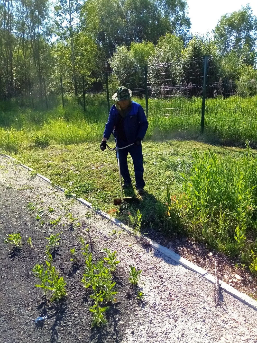 🌿 Летний период традиционно является для нас временем высокой нагрузки.
