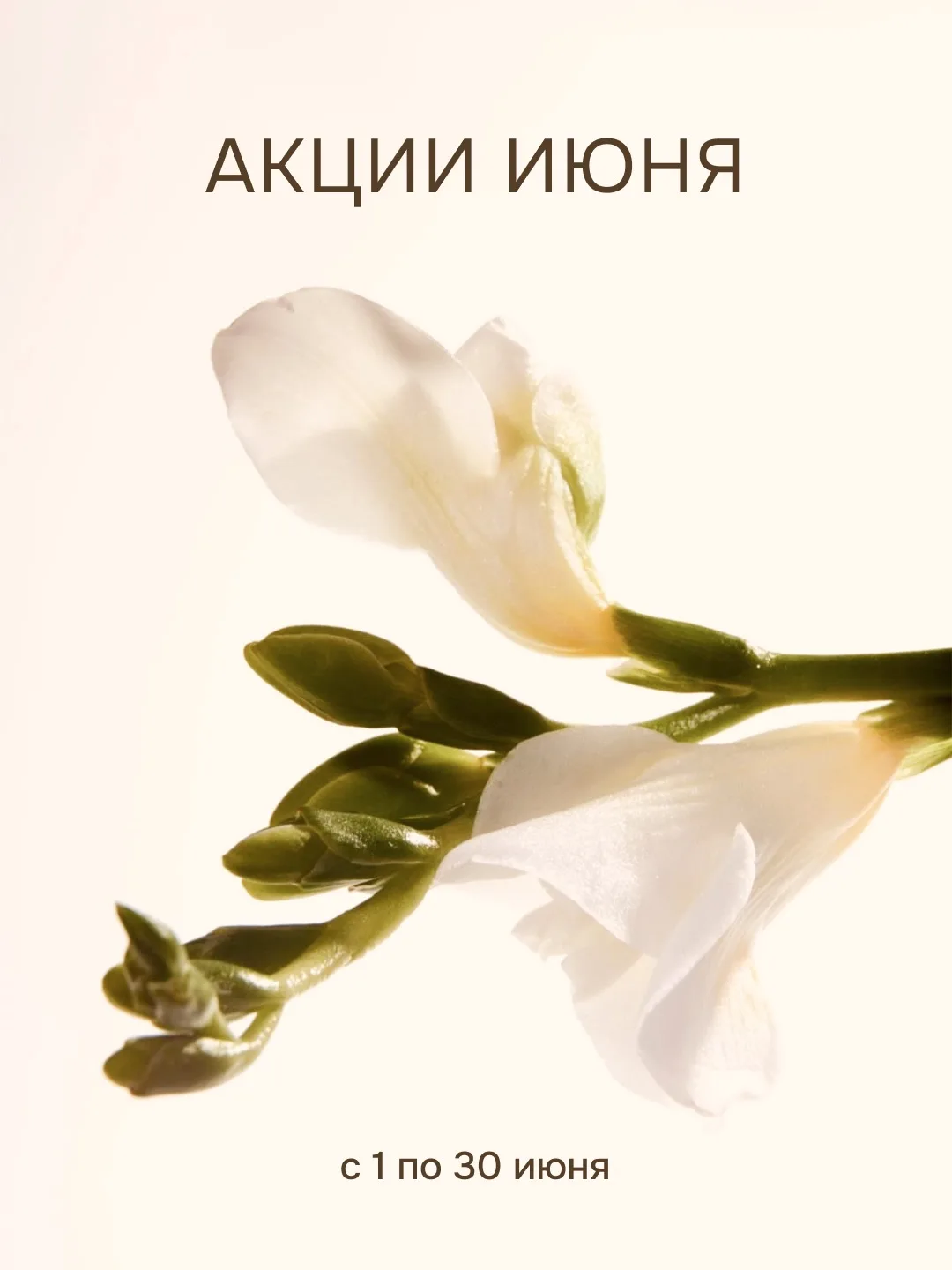 🫧Акции июня